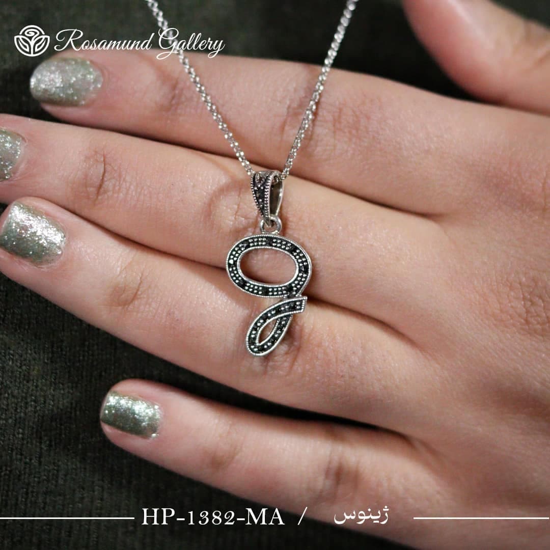 پلاک ژینوس HP-1382-MA — تصویر ۳