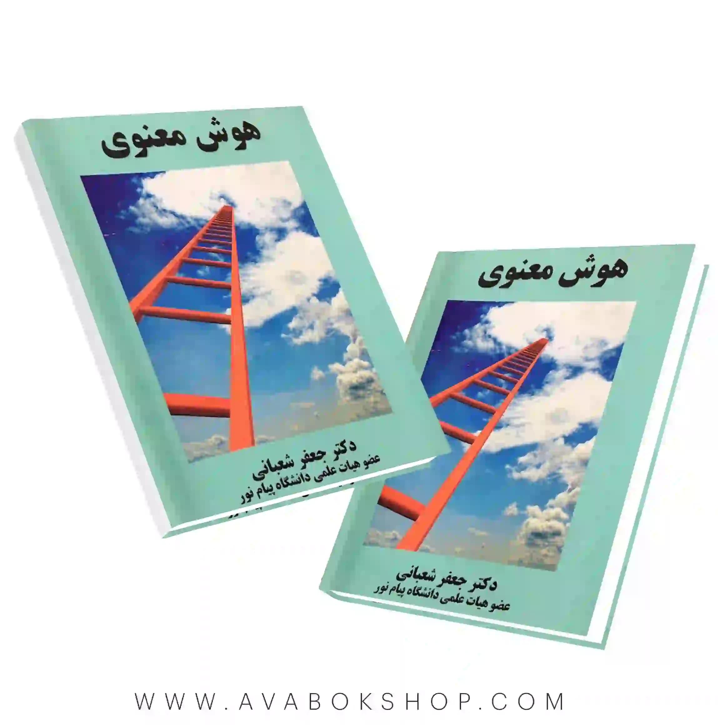 کتاب هوش معنوی جعفر شعبانی انتشارات ساوالان