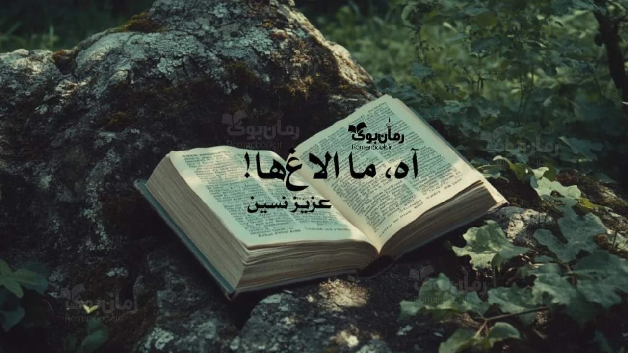 کتاب آه، ما الاغ‌ها