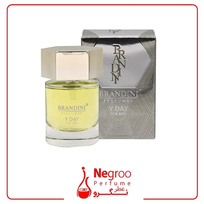 عطر جیبی مردانه برندینی مدل Y Day حجم 33میلی لیتر