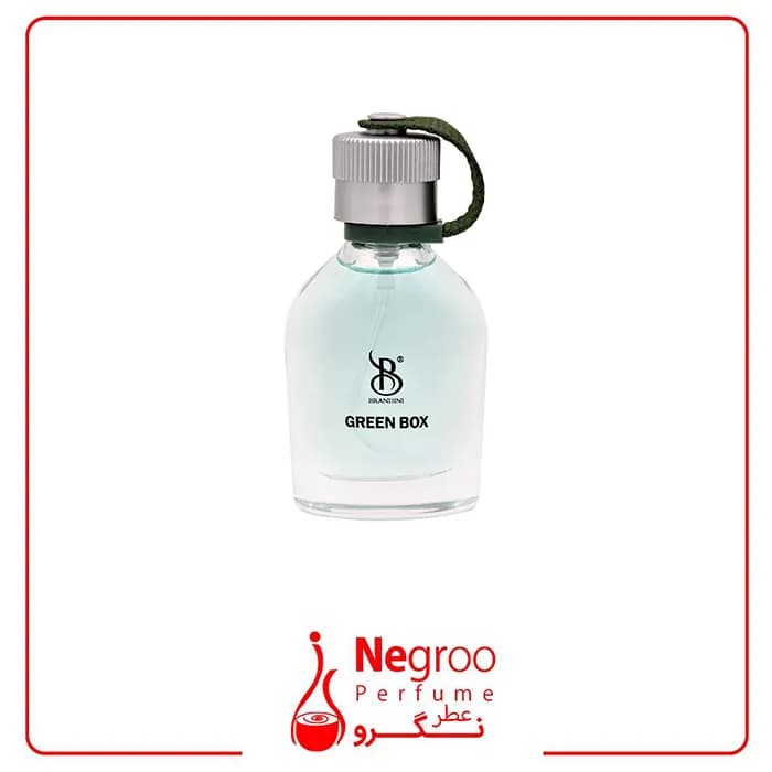 عطر مردانه برندینی مدل گرین باکس حجم 33 میل Brandini Green Box — تصویر ۳