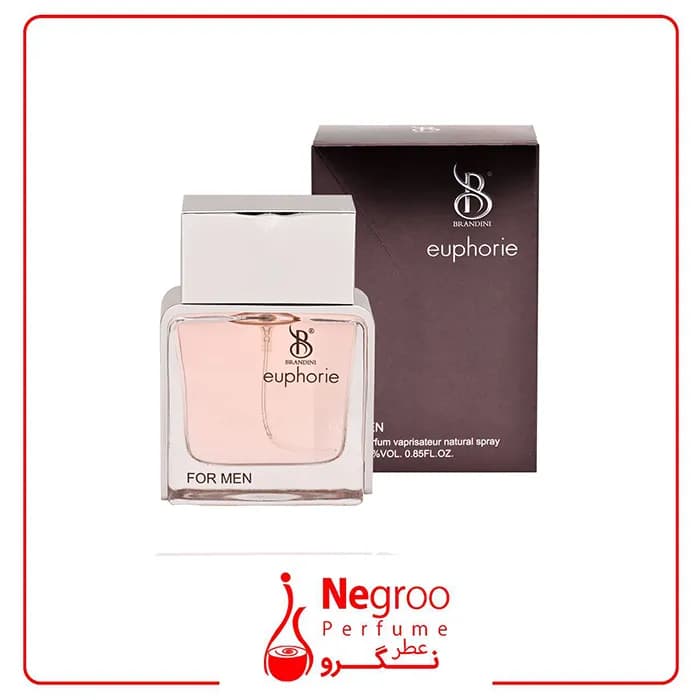 عطر جیبی مردانه برندینی مدل euphorie حجم 33میلی لیتر