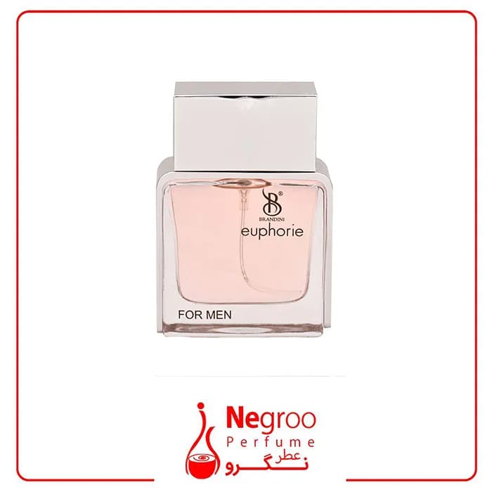 عطر جیبی مردانه برندینی مدل euphorie حجم 33میلی لیتر — تصویر ۳