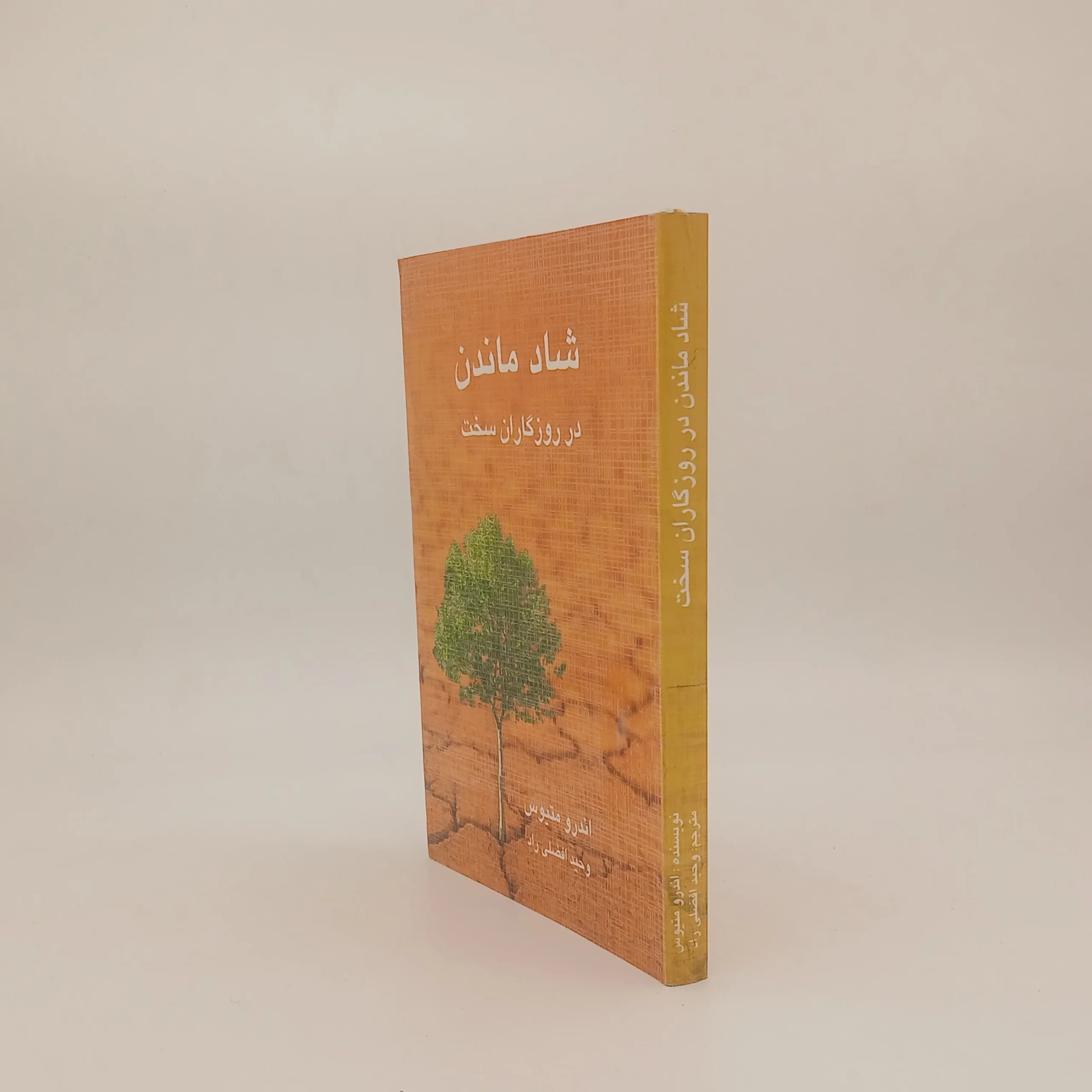 شاد ماندن در روزگاران سخت — تصویر ۲