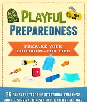 دانلود کتاب Playful Preparedness: Prepare Your ChildrenöFor Life: 26 Games for Teaching Situational Awareness, Prepping, Emergency Preparedness and the Survival…
