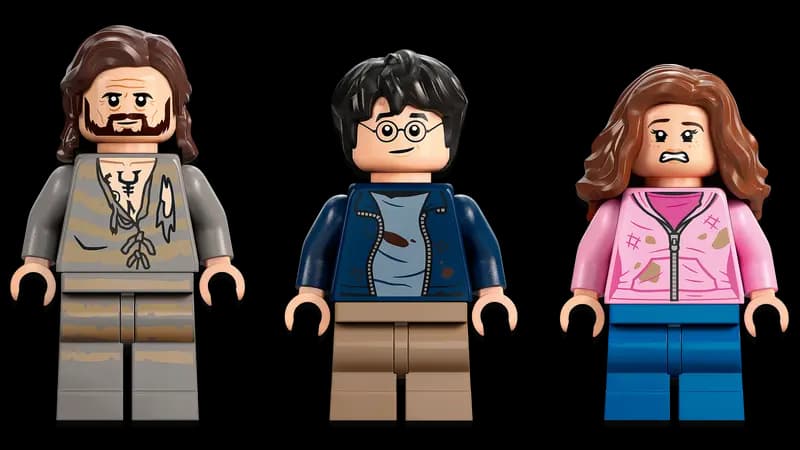 لگو Hogwarts™ Courtyard: Sirius’s Rescue سری هری پاتر کد 76401 — تصویر ۷