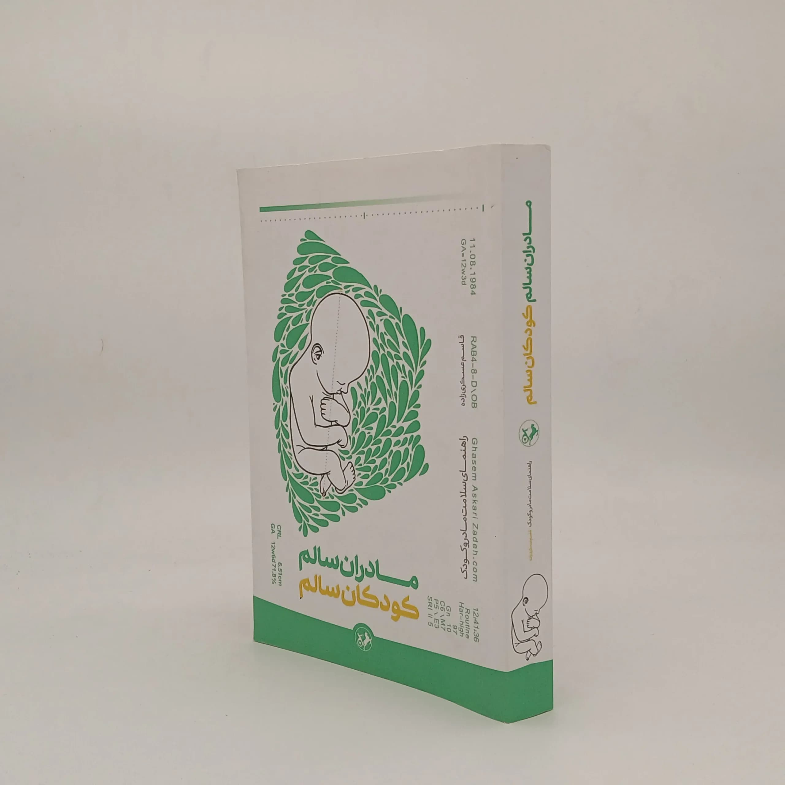 مادران سالم کودکان سالم — تصویر ۲