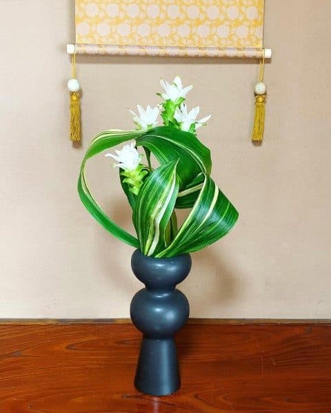 لاله تابستانی برای ایجاد زیبایی در فضاهای عمومی