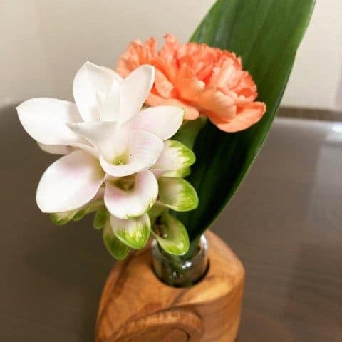 لاله تابستانی برای طراحی فضای سبز در تراس