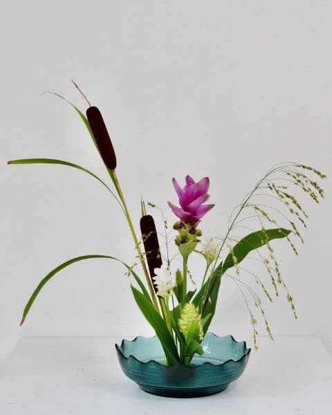 گل‌های لاله تابستان برای طراحی دکوراسیون باغ