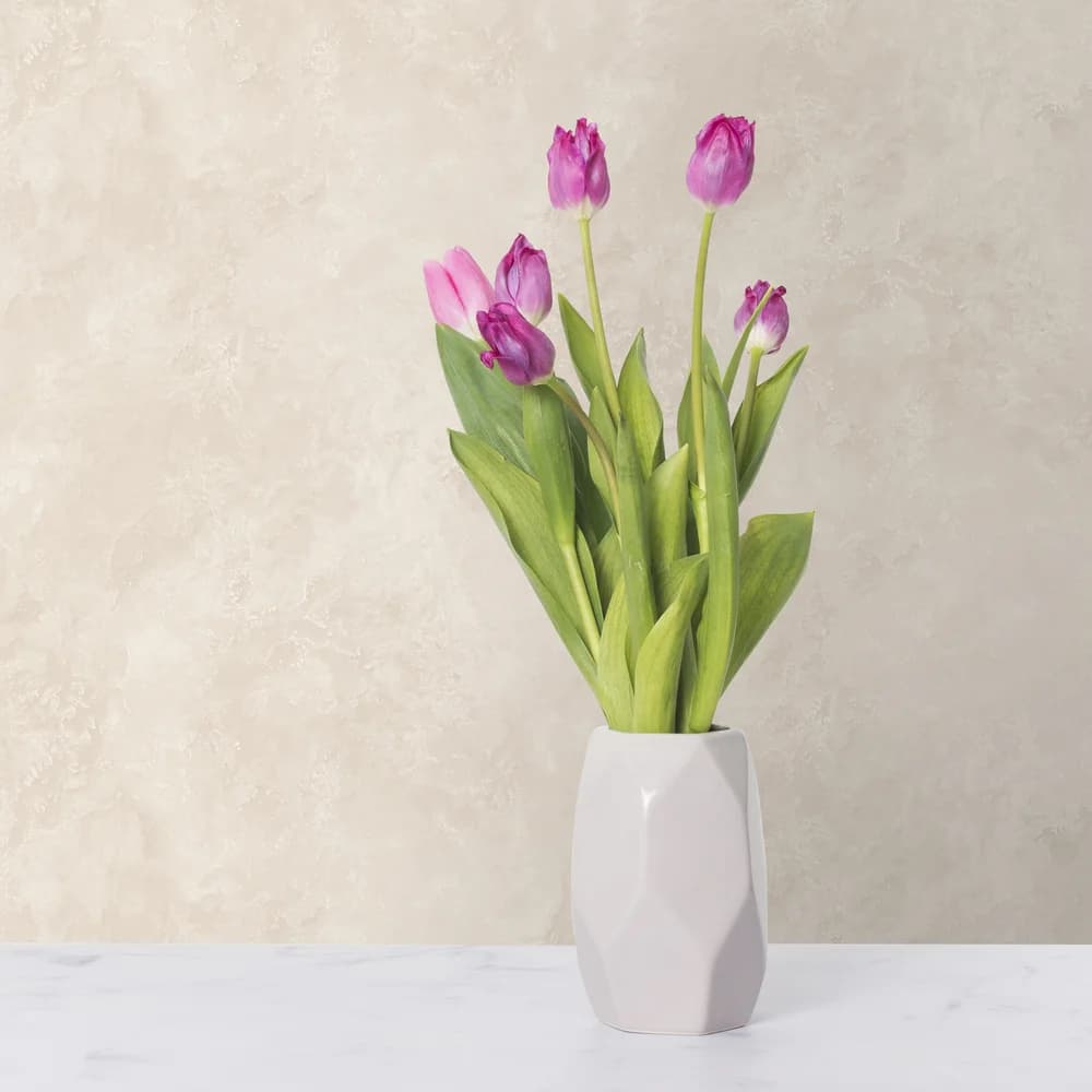 کاغذ دیواری پتینه کرم کد NA-049