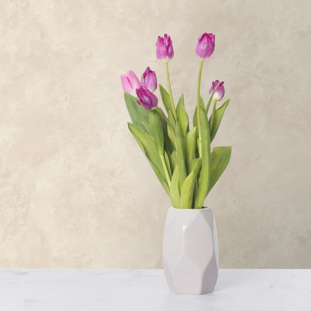 کاغذ دیواری پتینه کرم کد NA-047