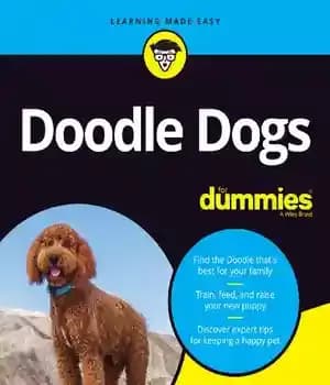 دانلود کتاب Doodle Dogs for Dummies –