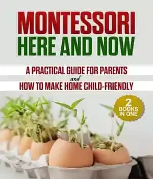دانلود کتاب Montessori Here and Now