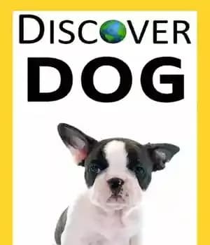 دانلود کتاب Discover: Dog – : — تصویر ۲