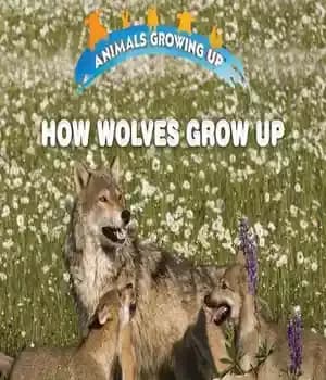 دانلود کتاب How Wolves Grow Up