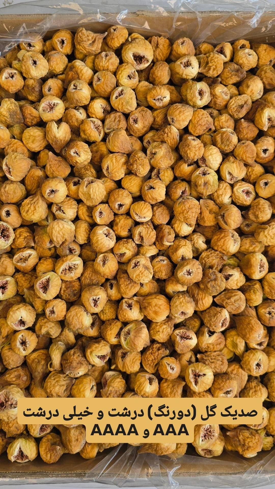 انجیر خیلی درشت غنچه صدیک گل