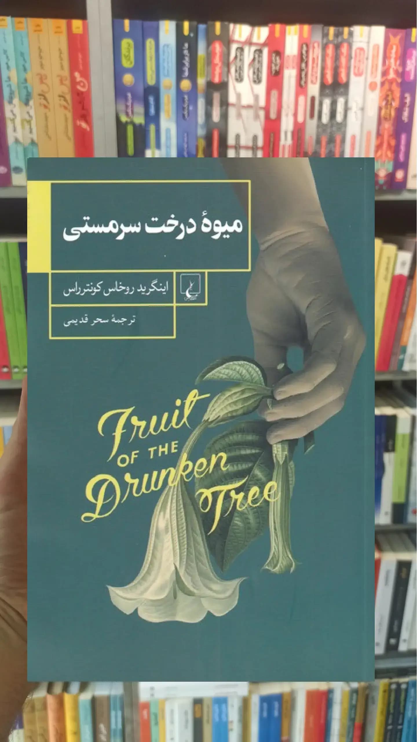 میوه درخت سرمستی ققنوس