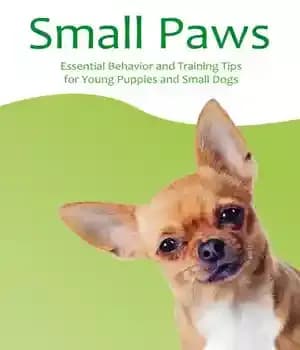 دانلود کتاب Small Paws: Essential Behavior and Training Tips for Young Puppies Dogs