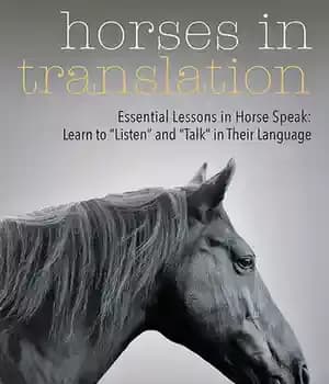 دانلود کتاب Horses in Translation: Essential Lessons Horse Speak: Learn to ‘Listen’ and ‘Talk’ Their Language – ‌