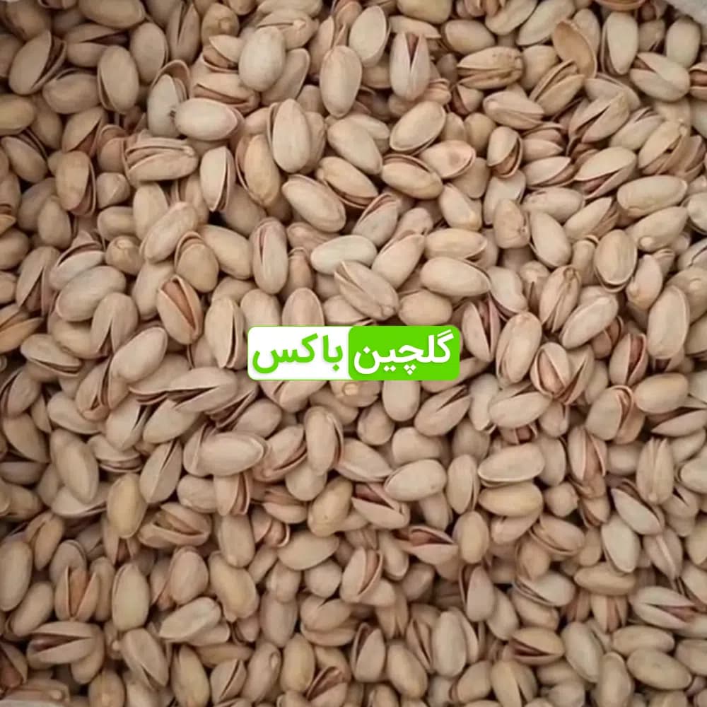 پسته عباس‌علی ممتاز خام سایز متوسط — تصویر ۳