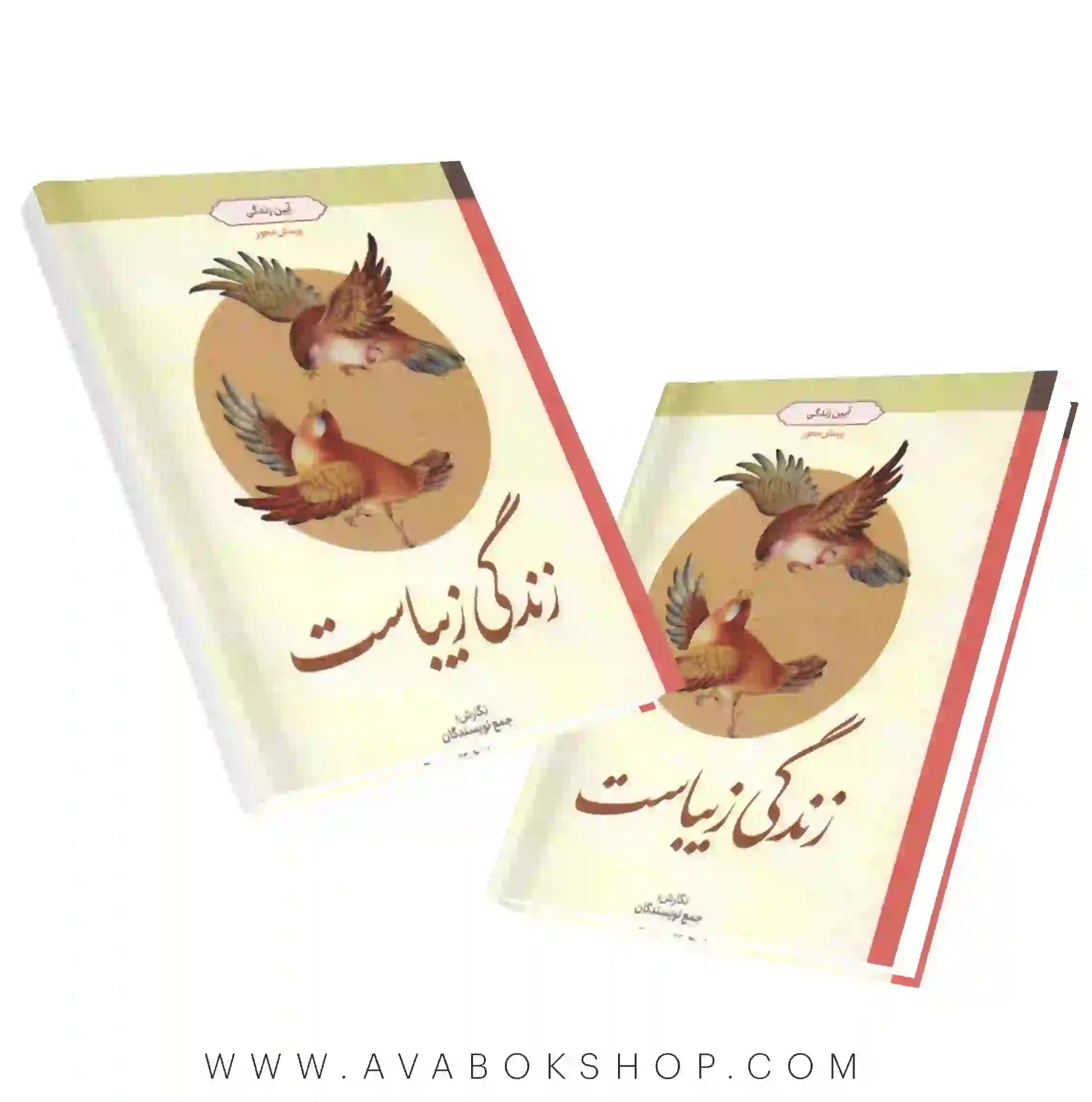 کتاب زندگی زیباست (آیین زندگی) انتشارات معارف