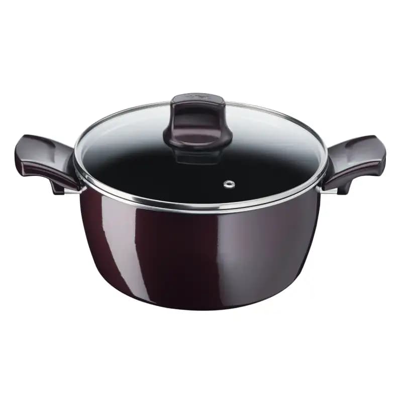 قابلمه تک تفال Tefal مدل Resist Intense در سایز های 20،24،26،30