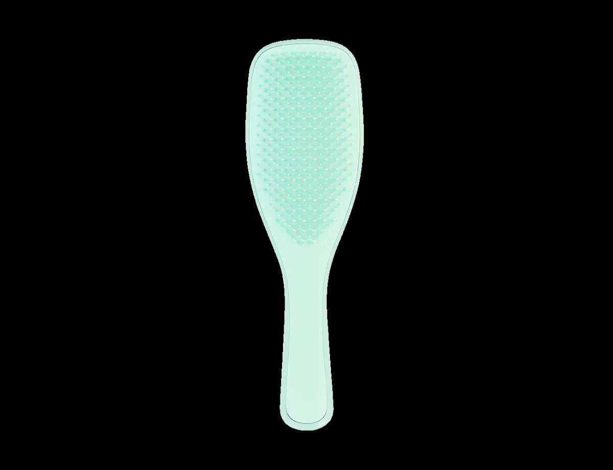 برس تنگل تیزر موهای نازک و شکننده Tangle Teezer Detangler Fine & Fragile Jade Lagoon