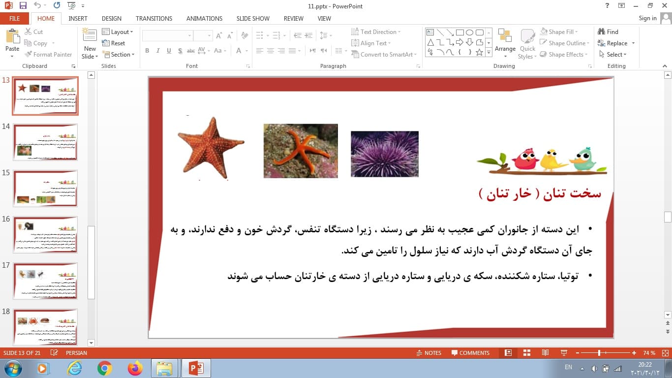 پاورپوینت درس یازدهم علوم تجربی چهارم بی مهره ها