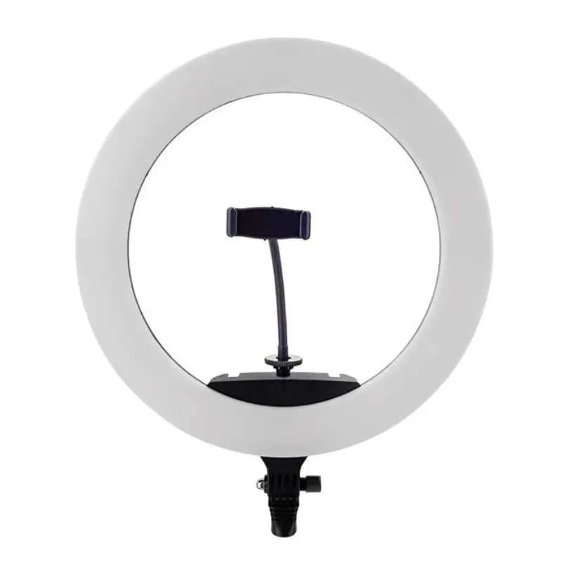 رینگ لایت زئوس به همراه پایه ZEUS BK416II Ring Light