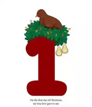 دانلود کتاب The Twelve Days of Christmas: A Christmas Counting Book
