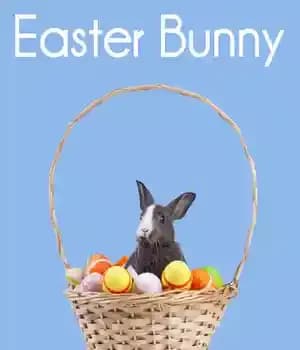 دانلود کتاب Easter Bunny: Count With Me