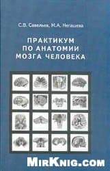 دانلود کتاب Практикум по анатомии мозга человека: Учебное пособие для студентов вузов