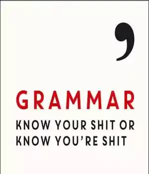 دانلود کتاب Grammar: Know Your Shit or You’re
