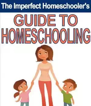 دانلود کتاب The Imperfect Homeschooler’s Guide to Homeschooling