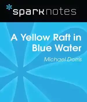 دانلود کتاب Yellow Raft in Blue Water: SparkNotes Literature Guide