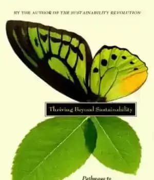 دانلود کتاب Thriving Beyond Sustainability