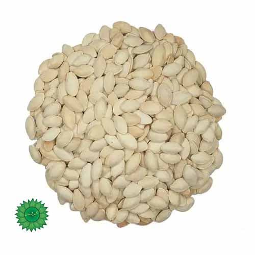 تخمه کدو خام | تخمه کدو ساده — تصویر ۲