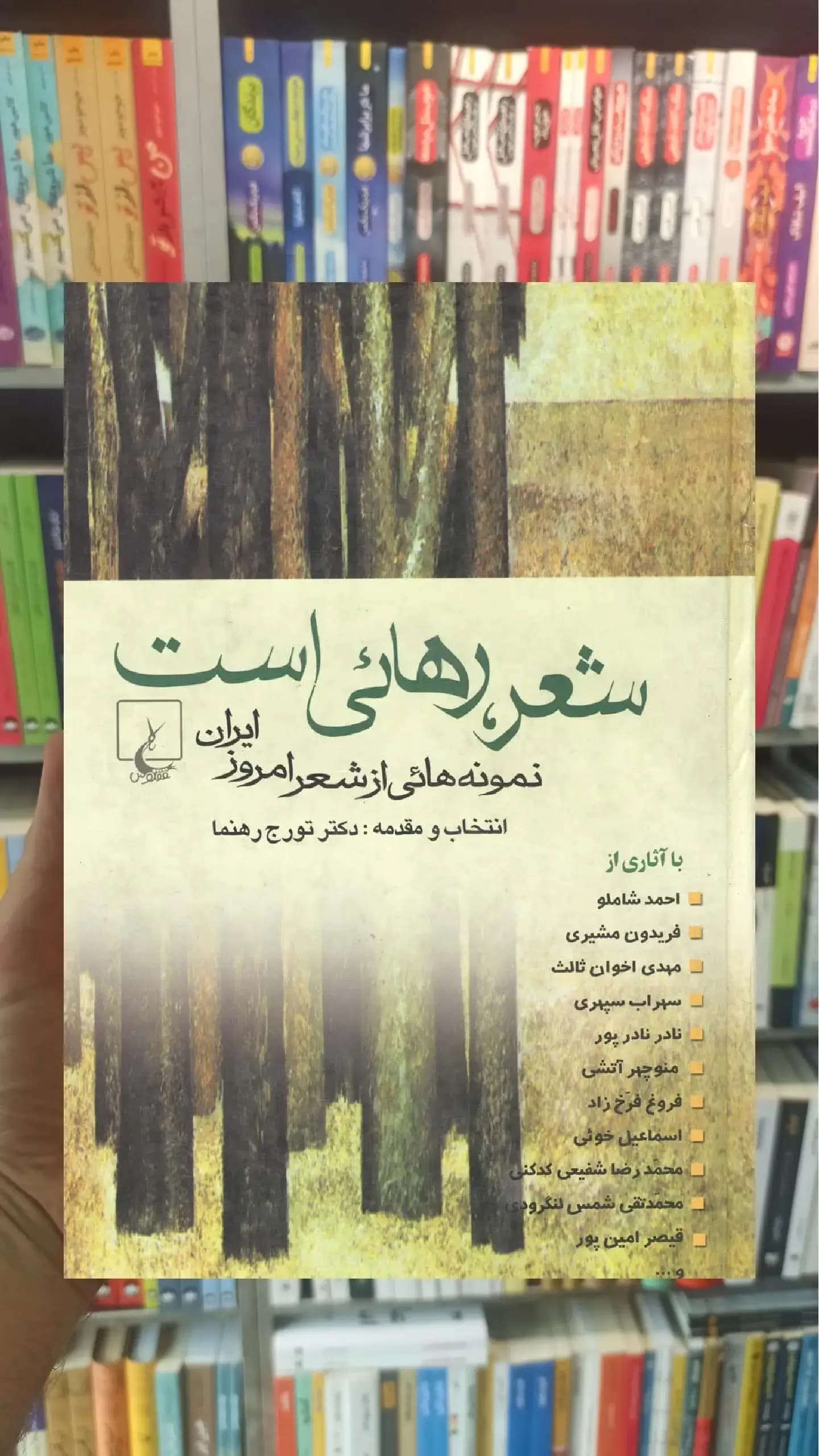 شعر رهایی است ققنوس