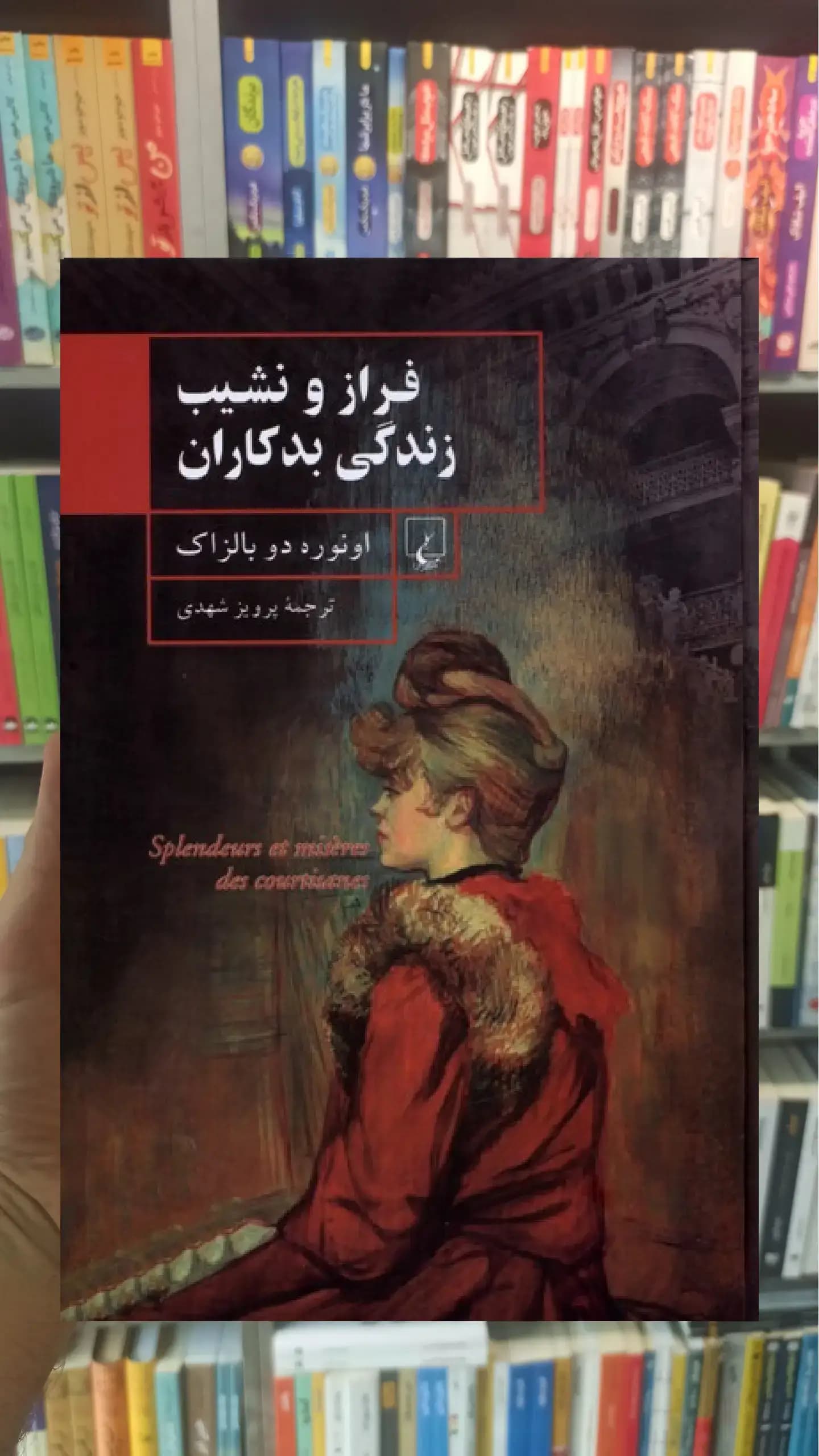 فراز و نشیب زندگی بدکاران ققنوس