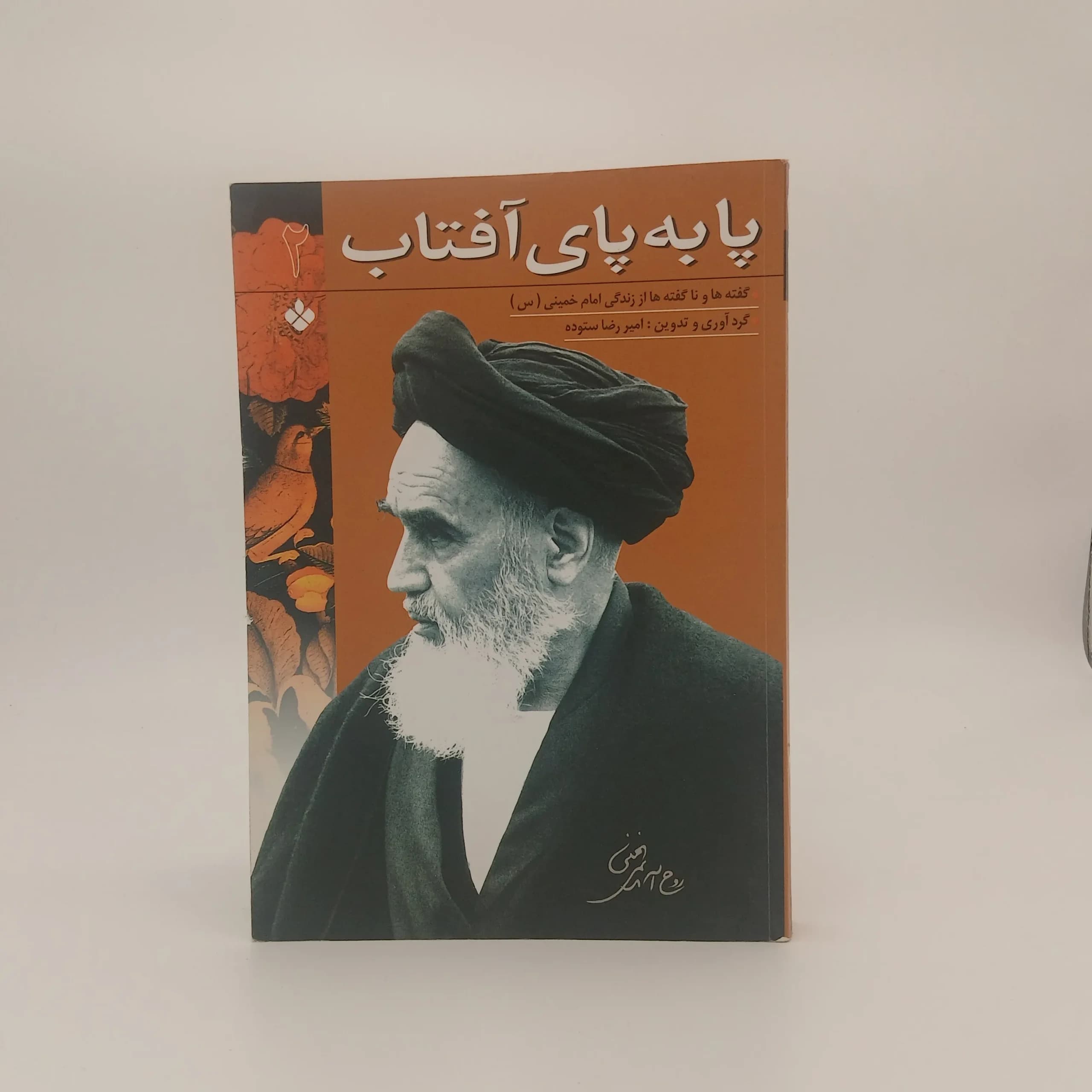 پا به پای آفتاب (گفته ها و ناگفته‌ ها از زندگی امام خمینی) جلد 2