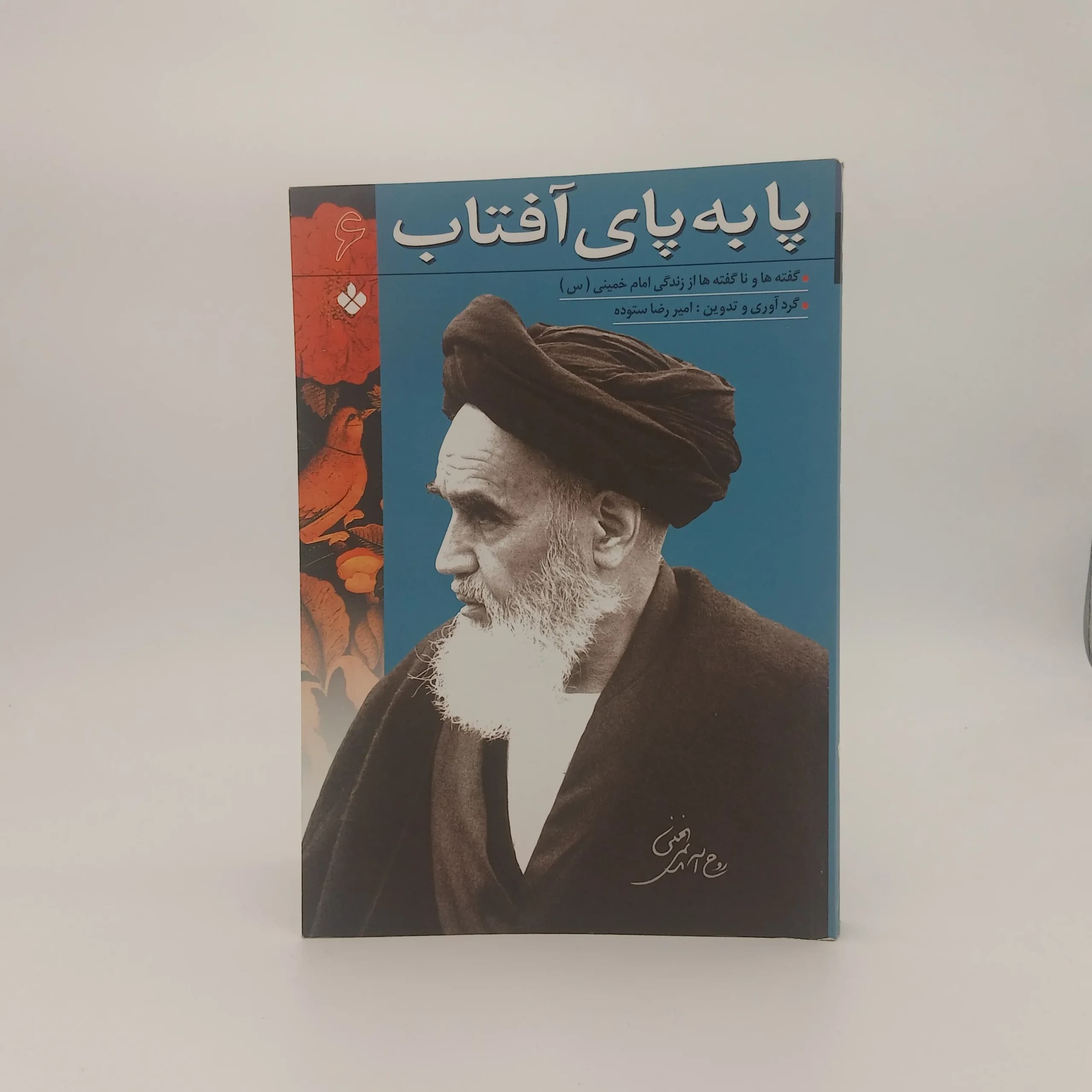 پا به پای آفتاب (گفته ها و ناگفته‌ ها از زندگی امام خمینی) جلد 6