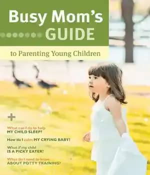دانلود کتاب Busy Mom’s Guide To Parenting Young Children