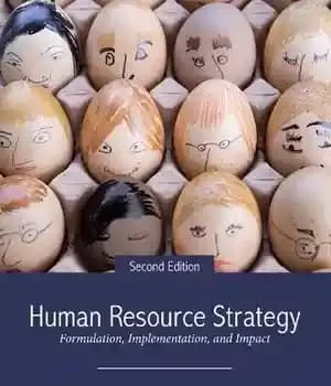 دانلود کتاب Human Resource Strategy: Formulation, Implementation, and Impact