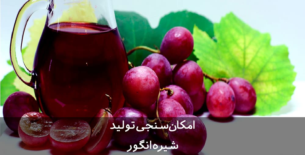 طرح توجیهی شیره انگور