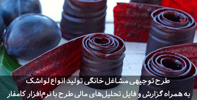 طرح توجیهی لواشک