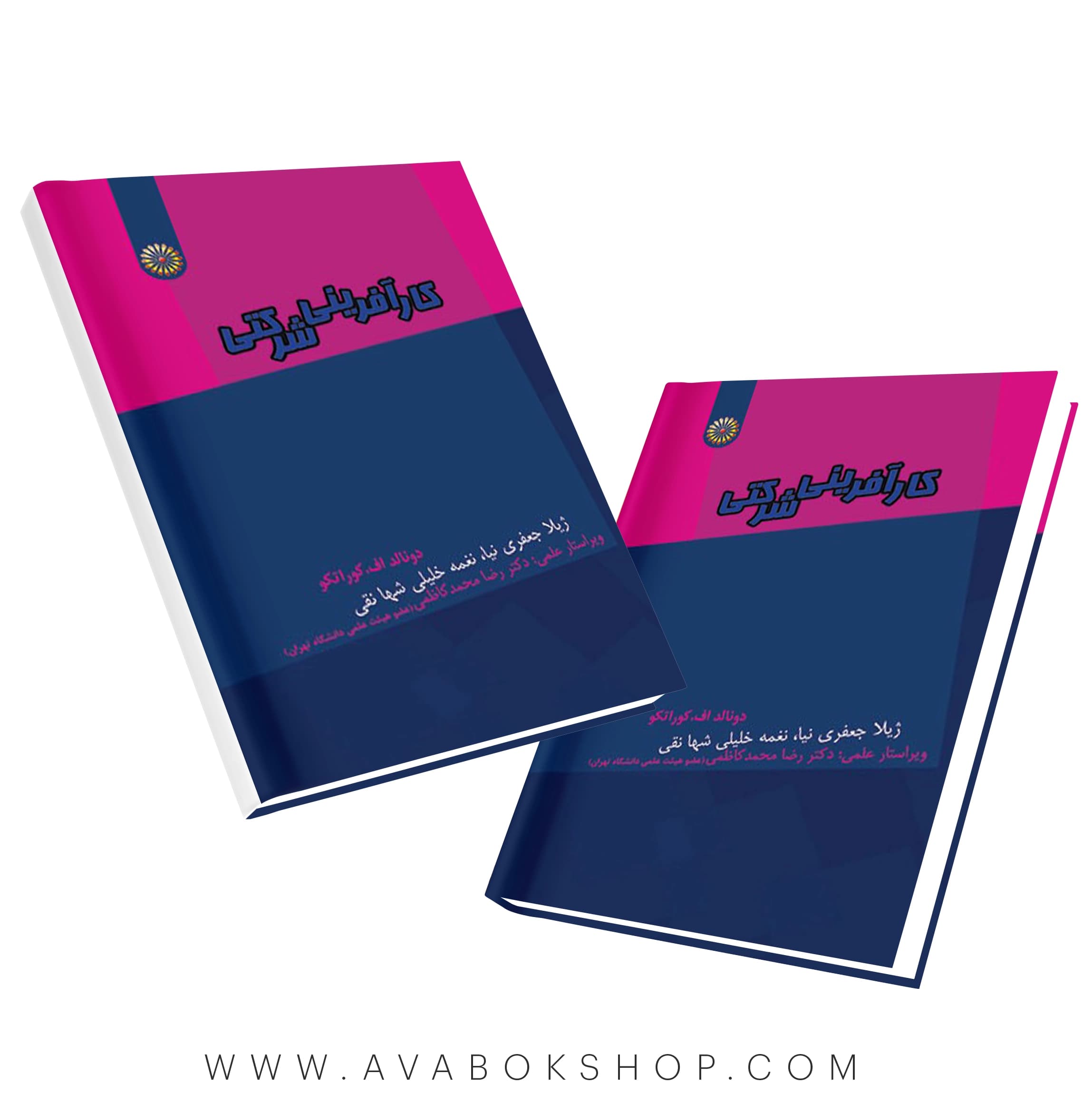 کتاب کارآفرینی شرکتی انتشارات حتمی