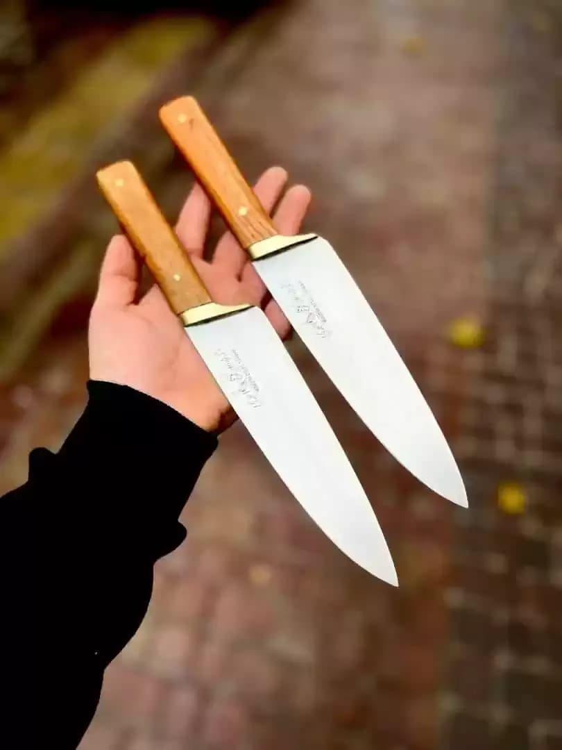 چاقوی برش گوشت