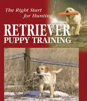 دانلود کتاب Retriever Puppy Training: The Right Start for Hunting