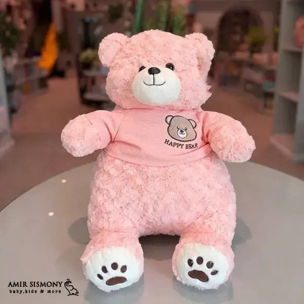 خرس لباس دار کیدزلند — تصویر ۳